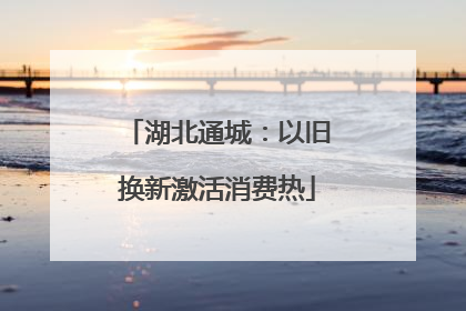 湖北通城：以旧换新激活消费热