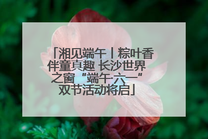 湘见端午丨粽叶香伴童真趣 长沙世界之窗“端午·六一”双节活动将启