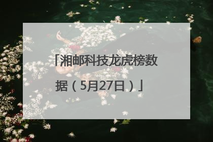 湘邮科技龙虎榜数据（5月27日）