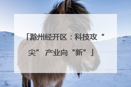 滁州经开区：科技攻“尖” 产业向“新”