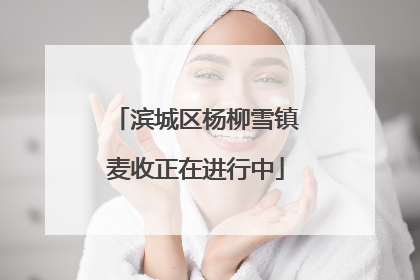 滨城区杨柳雪镇麦收正在进行中