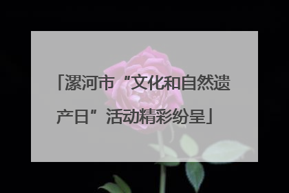 漯河市“文化和自然遗产日”活动精彩纷呈