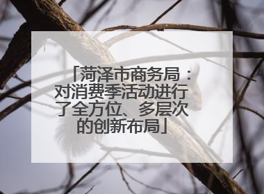 菏泽市商务局：对消费季活动进行了全方位、多层次的创新布局