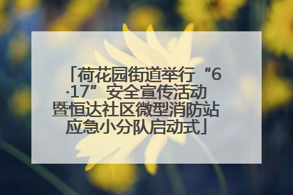 荷花园街道举行“6·17”安全宣传活动暨恒达社区微型消防站应急小分队启动式
