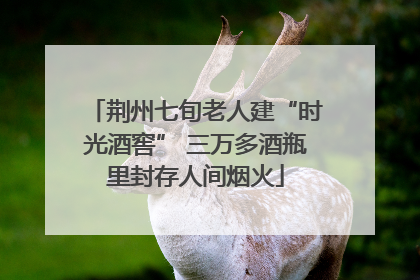 荆州七旬老人建“时光酒窖” 三万多酒瓶里封存人间烟火