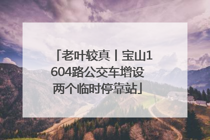 老叶较真丨宝山1604路公交车增设两个临时停靠站
