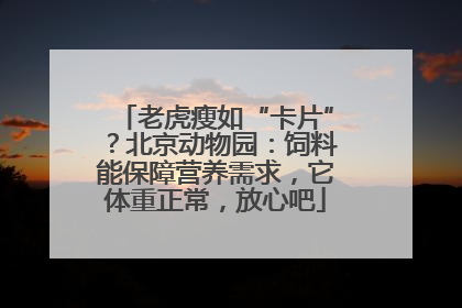 老虎瘦如“卡片”？北京动物园：饲料能保障营养需求，它体重正常，放心吧