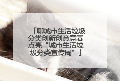 聊城市生活垃圾分类创新创意竞赛点亮“城市生活垃圾分类宣传周”