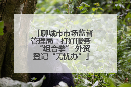 聊城市市场监督管理局：打好服务“组合拳” 外资登记“无忧办”