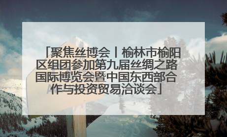 聚焦丝博会丨榆林市榆阳区组团参加第九届丝绸之路国际博览会暨中国东西部合作与投资贸易洽谈会