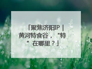 聚焦济阳IP｜黄河特食谷，“特”在哪里？