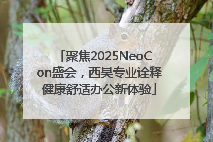 聚焦2025NeoCon盛会，西昊专业诠释健康舒适办公新体验