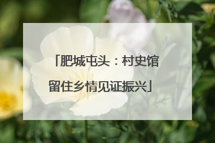 肥城屯头：村史馆留住乡情见证振兴