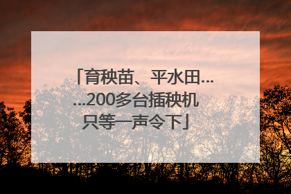 育秧苗、平水田……200多台插秧机只等一声令下