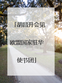 胡昌升会见欧盟国家驻华使节团