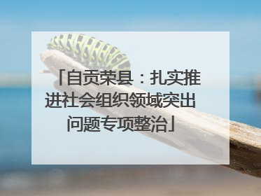 自贡荣县：扎实推进社会组织领域突出问题专项整治
