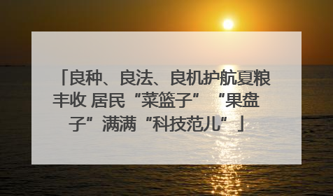 良种、良法、良机护航夏粮丰收 居民“菜篮子”“果盘子”满满“科技范儿”