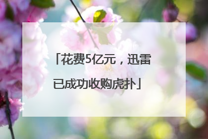花费5亿元，迅雷已成功收购虎扑