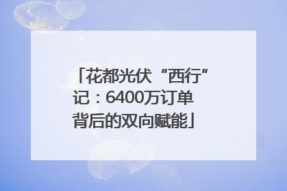 花都光伏“西行”记：6400万订单背后的双向赋能