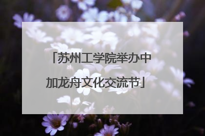 苏州工学院举办中加龙舟文化交流节