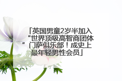 英国男童2岁半加入“世界顶级高智商团体”门萨俱乐部！成史上最年轻男性会员