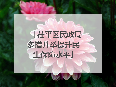茌平区民政局多措并举提升民生保障水平