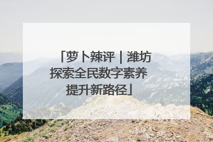 萝卜辣评｜潍坊探索全民数字素养提升新路径