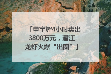 董宇辉4小时卖出3800万元，潜江龙虾火爆“出圈”