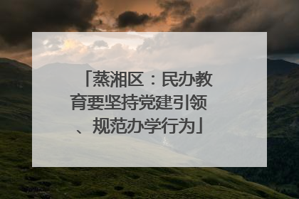 蒸湘区：民办教育要坚持党建引领、规范办学行为