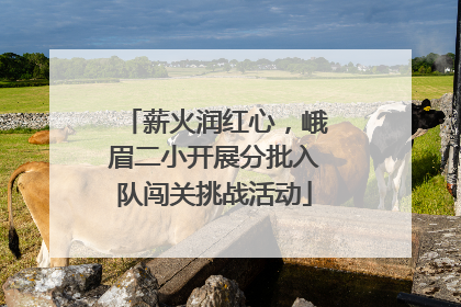 薪火润红心，峨眉二小开展分批入队闯关挑战活动