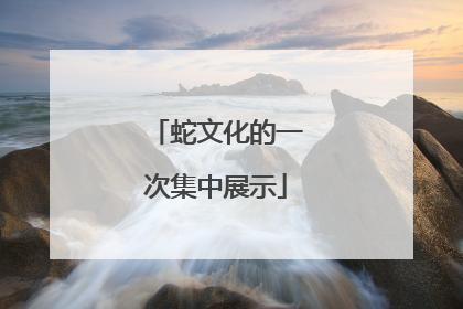蛇文化的一次集中展示