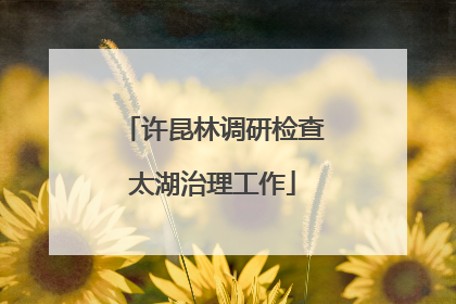 许昆林调研检查太湖治理工作