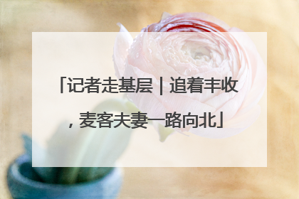 记者走基层｜追着丰收，麦客夫妻一路向北