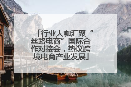 行业大咖汇聚“丝路电商”国际合作对接会，热议跨境电商产业发展