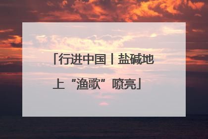 行进中国丨盐碱地上“渔歌”嘹亮