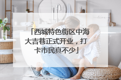 西城特色街区中海大吉巷正式开业，打卡市民真不少
