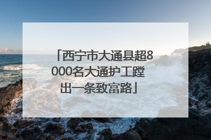 西宁市大通县超8000名大通护工蹚出一条致富路