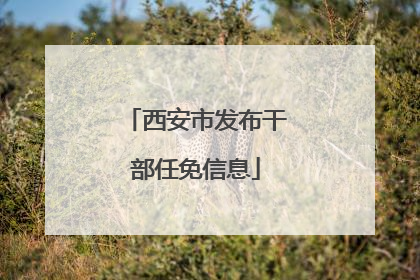 西安市发布干部任免信息