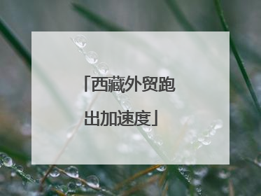 西藏外贸跑出加速度
