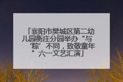 襄阳市樊城区第二幼儿园衡庄分园举办“与‘粽’不同，致敬童年”六一文艺汇演