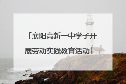 襄阳高新一中学子开展劳动实践教育活动