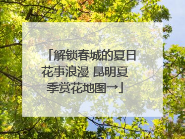 解锁春城的夏日花事浪漫 昆明夏季赏花地图→