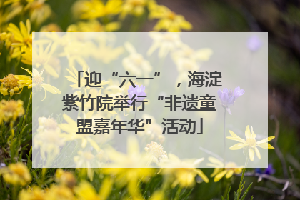 迎“六一”，海淀紫竹院举行“非遗童盟嘉年华”活动