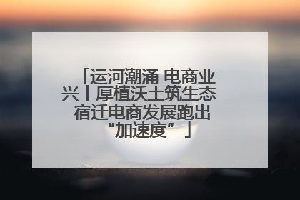运河潮涌 电商业兴丨厚植沃土筑生态 宿迁电商发展跑出“加速度”