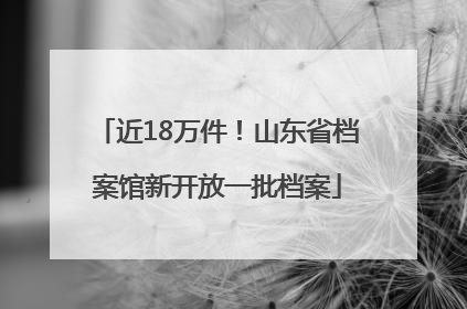 近18万件！山东省档案馆新开放一批档案