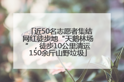 近50名志愿者集结网红徒步地“天鹅林场”，徒步10公里清运150余斤山野垃圾