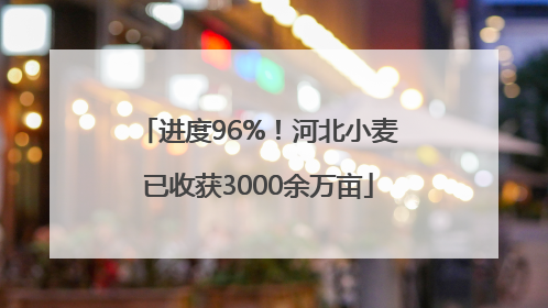 进度96%！河北小麦已收获3000余万亩