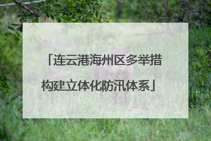 连云港海州区多举措构建立体化防汛体系