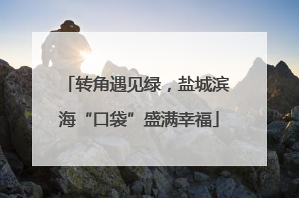 转角遇见绿，盐城滨海“口袋”盛满幸福