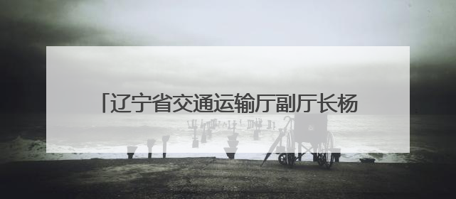 辽宁省交通运输厅副厅长杨树履新省交投集团总经理